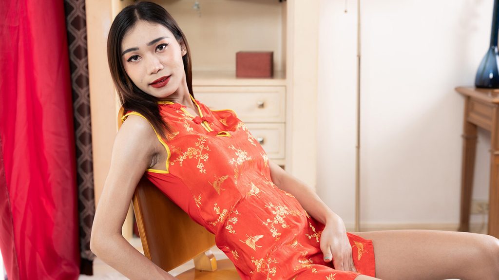 93213 1x FranksTGirlWorld – Ying – Meet Ying!