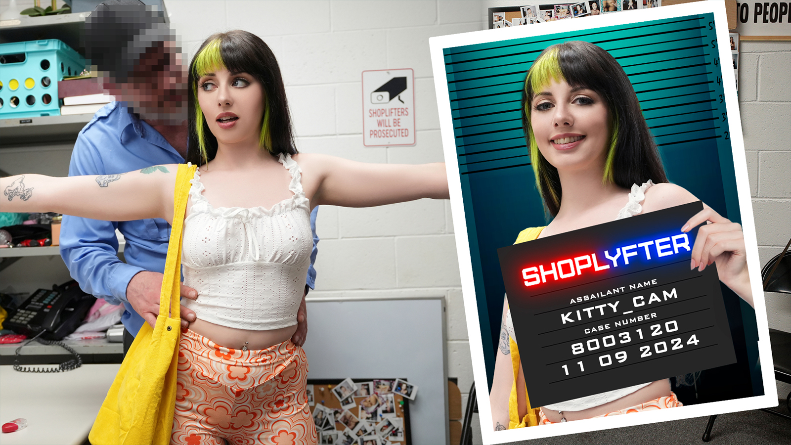 hi 6 Shoplyfter – Kitty Cam – Case No. 8003120: The Artist In Distress