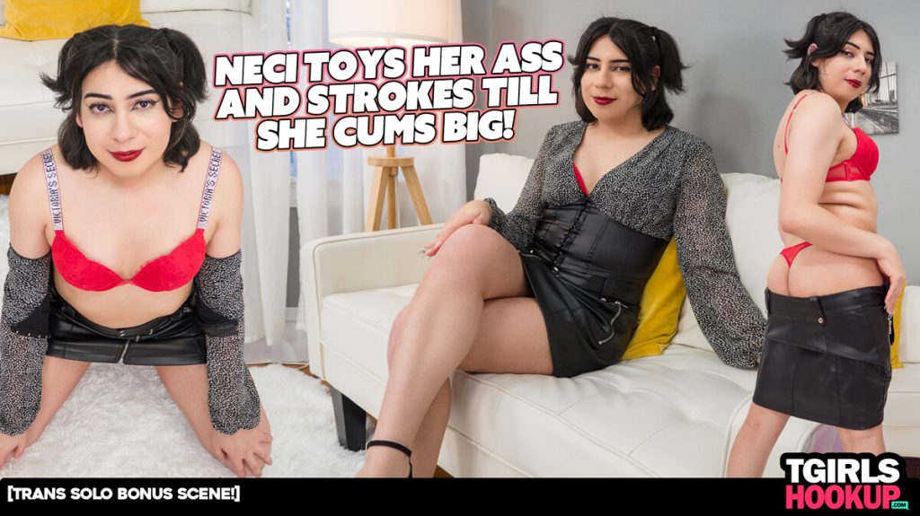 20491 1x TGirlsHookup – Neci Archer – Neci Toys Her Ass and Strokes till She Cums BIG!