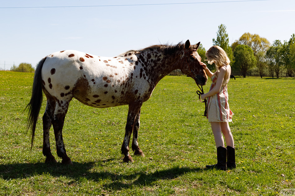 single 054 1410102429102434 Zishy – Cami Sembrabella – Western Fashion 1